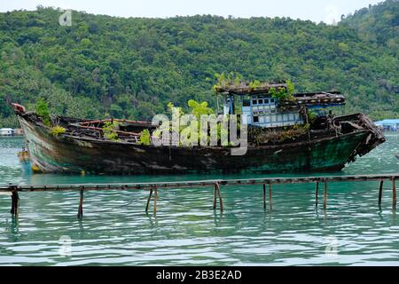 Anambasinseln Indonesien - alter Schiffswrack mit Vegetation überwuchert Stockfoto