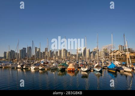 Segelboote moorierten im Winter an einem Yachthafen auf der Südseite des False Creek mit Skyline in Back, Vancouver, BC, Kanada Stockfoto