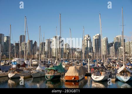 Segelboote moorierten im Winter an einem Yachthafen auf der Südseite des False Creek mit Skyline in Back, Vancouver, BC, Kanada Stockfoto