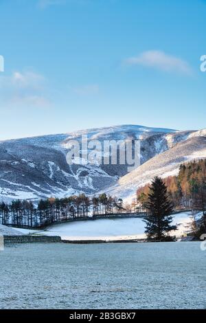 Schneebedeckte Landschaft im Tweed Valley von Drumelzier. Schottische Grenzen. Schottland Stockfoto