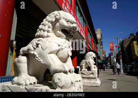 Steinerne geschnitzte Löwen bewachen einen Gebäudeeingang in der Center Street.Manhattan Chinatown.New York City.USA Stockfoto