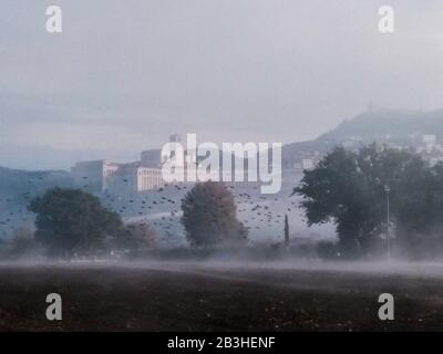 Surreale Sicht auf die Kirche Assisi und St. Franziskus (Umbrien, Italien) mitten im Nebel mit einer Vogelschar über einem kultivierten Feld Stockfoto