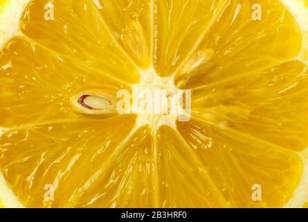 Zitronenscheibe als Hintergrund Stockfoto