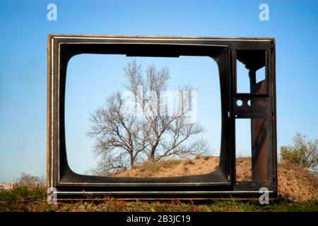 Blick auf einen Baum durch einen kaputten Fernseher an der Stadtkippe Stockfoto