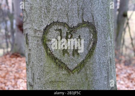 Initialen des verliebten Paares in Herz in Baumstamm gehauen Stockfoto
