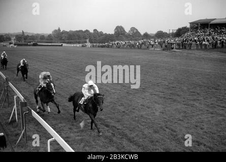 Frau H.H. Renshaws Derring-Do, geritten von A. Breasley, gewinnt von James McShanes Jungen Christopher, Lester Piggott up, im Cavendish Stakes im Sandown Park um drei Viertel Länge. Stockfoto