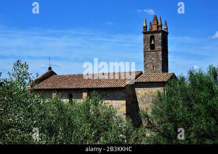 Alte Kirche zwischen Olivenbäumen in der Toskana. Lage: Monteriggioni (Umgebung von Siena). Stockfoto