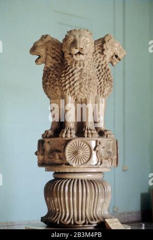 Ashokan-Säule, Ashoka-Säule, Asoka-Säule, Löwenhauptstadt von Ashoka, vier asiatische Löwen, Sarnath-Museum, Singhpur, Sarnath, Banaras, Benaras, Varanasi, Uttar Pradesh, Indien, Asien Stockfoto