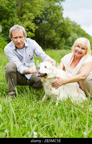 Zwei lächelnde Senioren pettern im Freien einen goldenen Retriever Stockfoto