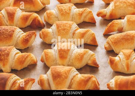 Frisch gebackene Buns Blätterteig mit Marmelade liegen in Reihen auf Backpapier in einem Tablett Stockfoto