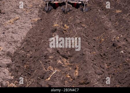 Der Bauer pflanzte Kartoffeln mit einem Traktor. Mechanisierung der landwirtschaftlichen Arbeit Frühlingsarbeit zum Konzept des ökologischen Landbaus auf dem Feld Stockfoto