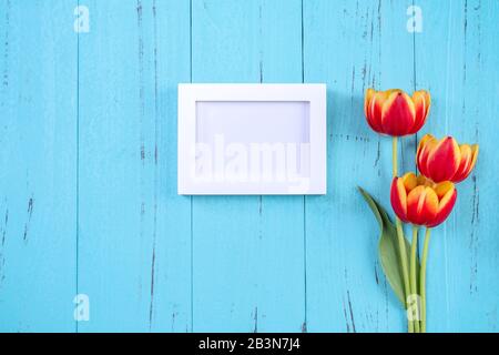 Tulip Flower Bunch, Fotorahmen, Mother's Day Konzept - Schöner roter, gelber Blumenstrauß, weiße leere Bildvorlage isoliert auf blauem Holzhintergrund Stockfoto