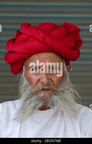 Indianischer Mann, Mitglied des Rabari-Stammes, mit rotem Turban, Bera, Rajasthan, Indien, Asien Stockfoto