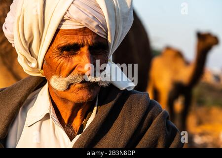 Nahaufnahme des Kamelhändlers mit cremefarbenem Turban und beeindruckendem Schnurrbart, Kamel im Hintergrund, Pushkar Camel Fair, Pushkar, Rajasthan, Indien, Asien Stockfoto