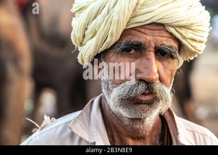 Nahaufnahme des Kopfschusses des bärtigen Kamelhändlers mit cremefarbendem Turban, Pushkar Camel Fair, Pushkar, Rajasthan, Indien, Asien Stockfoto