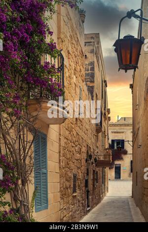 Eine schmale Straße im mdina Distrikt rabat, malta, ein Mann in teilweiser Silhouette in der Ferne, violette Blumen von einer Kletterpflanze Stockfoto