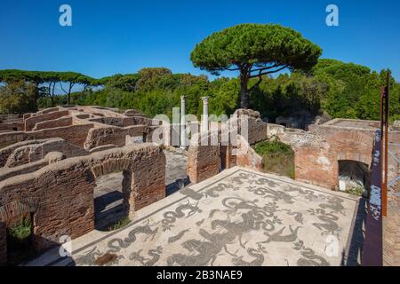 Terme di Nettuno, Ostia Antica, Rom, Latium, Italien, Europa Stockfoto