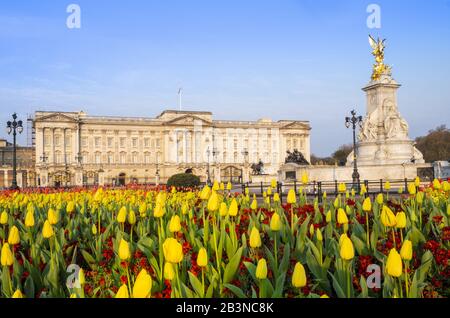 Die Fassade des Buckingham Palace, der offiziellen Residenz der Königin in London, zeigt Frühlingsblumen, London, England, Großbritannien, Europa Stockfoto