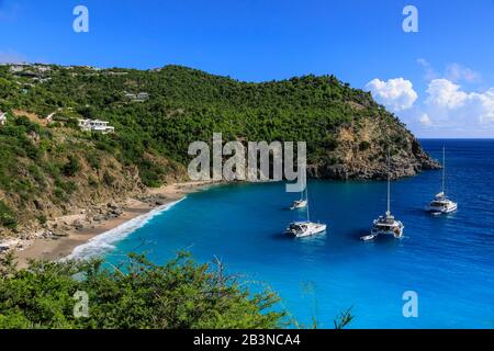 Shell Beach, in der türkisfarbenen Bucht verankerte Jachten, erhöhter Blick, Gustavia, St. Barthelemy (St. Barts) (St. Barth), Westindien, Karibik, Zentralamerika Stockfoto