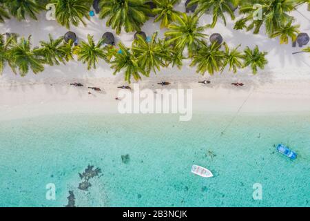 Touristen, die Pferde am Strand mit Palmen reiten, Luftbild, Halbinsel Le Morne brabant, Black River, Mauritius, Indischer Ozean, Afrika Stockfoto