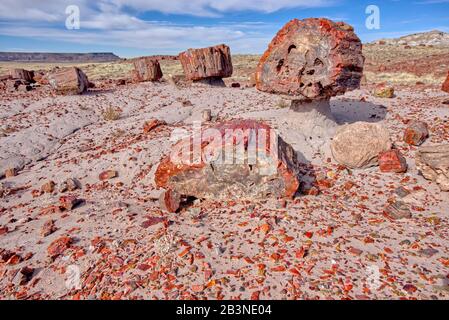 Zerbrochene Holzstücke in einer Sandwäsche im Jasper Forest des Petrified Forest National Park, Arizona, Vereinigte Staaten von Amerika, North Am Stockfoto