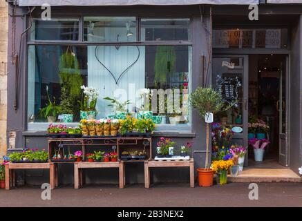 Attraktiver Blumenladen in der Hauptstraße von Winchcombe, einer Kleinen Marktstadt in den Cotswolds an einem Hellen Frühlingmorgen Stockfoto