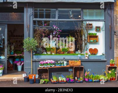 Attraktiver Blumenladen in der Hauptstraße von Winchcombe, einer Kleinen Marktstadt in den Cotswolds an einem Hellen Frühlingmorgen Stockfoto