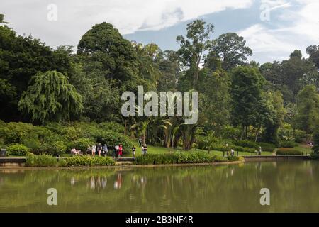 Symphonie-See, Singapore Botanic Gardens Stockfoto