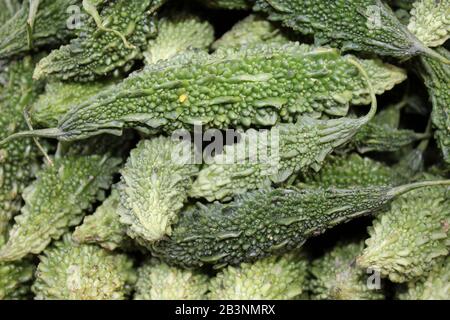 Bittermelone aka Bittermelone, bitterer Kürbis, Karela (Momordica Charantia) Stockfoto