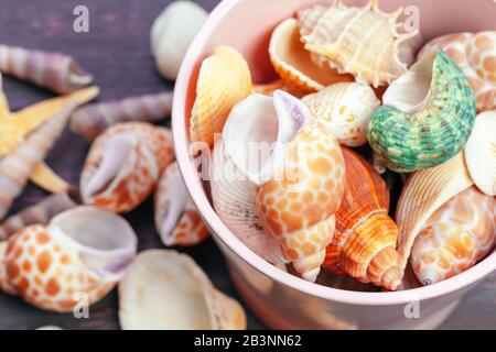 Verschiedene Muscheln auf Farbe Holz- Hintergrund Stockfoto