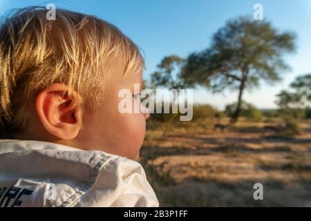 Baby Junge, der Safari im Kruger National Park, Südafrika, genießt Stockfoto