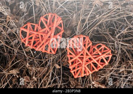 Zwei rote Herzen - ein Symbol für Liebe, Liebe und enge Beziehungen. Liegen Sie auf trockenem gelbem Gras, dem Kontrast. Stockfoto