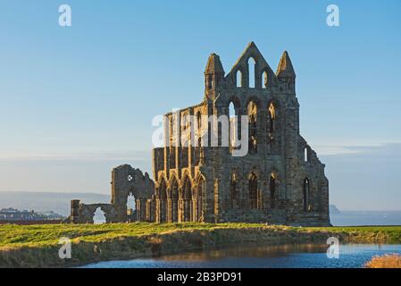 Überreste einer antiken englischen Abteiruine mit gotischer Architektur in ländlicher Landschaft Stockfoto