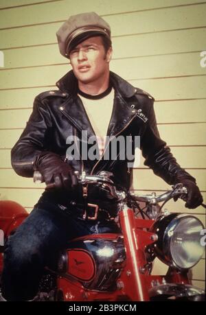 Der Wilde Marlon Brando 1953 Stockfoto