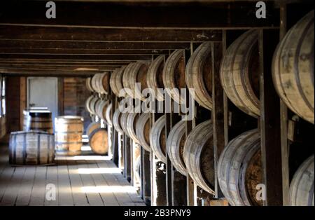 Whiskey-Fässer, die in einem traditionellen Lagerregal in Barton 1792 Distillery.Bardstown.Kentucky.USA gelagert werden Stockfoto