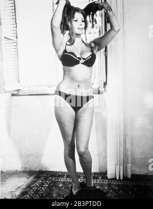 Sophia Loren, Gestern, heute und Morgen 1963 Stockfoto