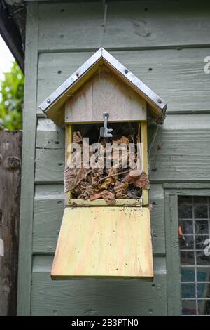 Insektenhaus mit offener Tür an der Seite eines Schuppens in einem englischen Garten. Stockfoto