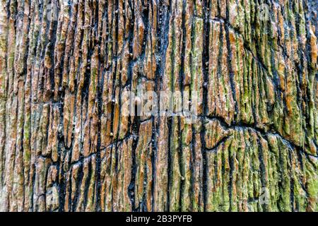 Geologische Schicht, Betonausschnitt, Felsschichten, Steinvenen als Hintergrund oder Textur Stockfoto