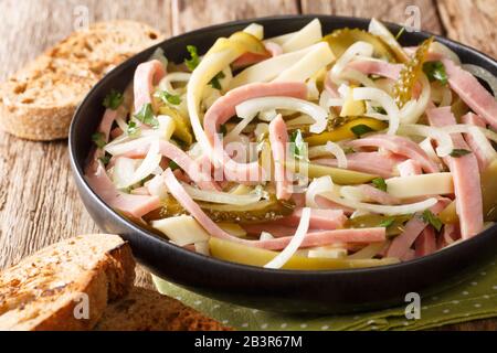 Schweizer Salat aus Wurst, Käse, Zwiebel, würzig gewürzt mit würziger Sauce in einem Teller auf dem Tisch. Horizontal Stockfoto