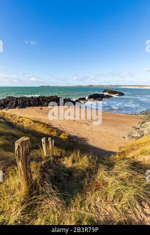 Ein kleiner Strand auf der Insel Llanddwyn mit Blick auf Malltraeth Beach, Anglesey, Wales Stockfoto