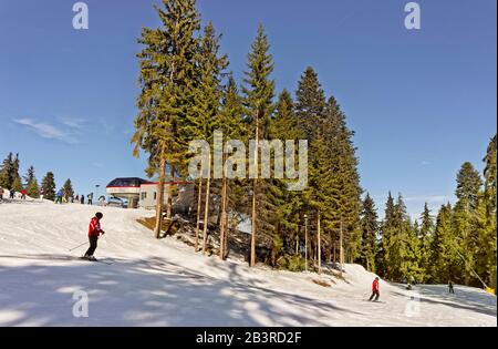 Martinovi Baraki 1 Skipiste im Skigebiet Borovets, in der Nähe von Samokov, Targovishte, Bulgarien. Stockfoto