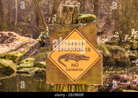 "SANGER KROKODILE KEIN SCHWIMMEN" schwarz-gelbes Warnschild in Florida, USA. Stockfoto