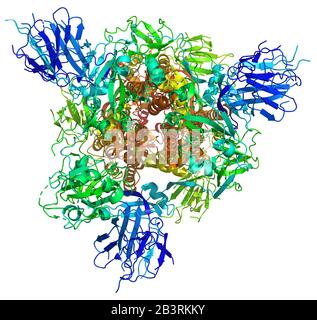 3D-Struktur des 2019-nCoV Coronavirus Spike, ein Ziel für Impfstoff gegen Covid-19. PDB 6VSB Stockfoto