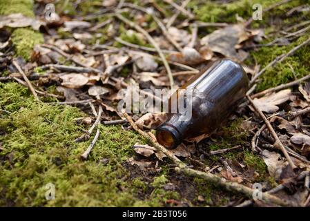 Weggeworfene braune Bierflasche auf einem Holzboden in Blattreu und Moos. Stockfoto