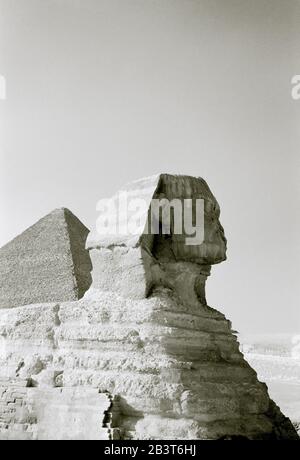 Reise-Fotografie in Schwarz und Weiß - die Sphinx und die große Pyramide Cheops Khufu an den Pyramiden von Gizeh Kairo in Ägypten in Nordafrika, Naher Osten Stockfoto