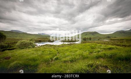 Die Trossachs, Die Schottischen Highlands. Die sumpfigen Länder der Heather bedeckten Highlands im Westen Schottlands an einem übergiebelten Tag. Stockfoto