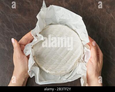 Camembert Käse rund um den Frieden in den Händen von Frauen Stockfoto