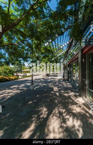 Shady side of the Renton Transit Center bus depot on Burnett Avenue S. in Renton, Washington. Stockfoto