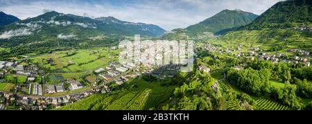 Valtellina (IT) - Grumello Weinberge in der Nähe von Sondrio Stockfoto