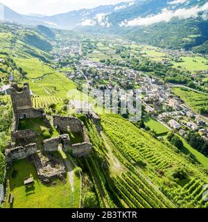 Valtellina (IT) - Grumello Weinberge in der Nähe von Sondrio Stockfoto